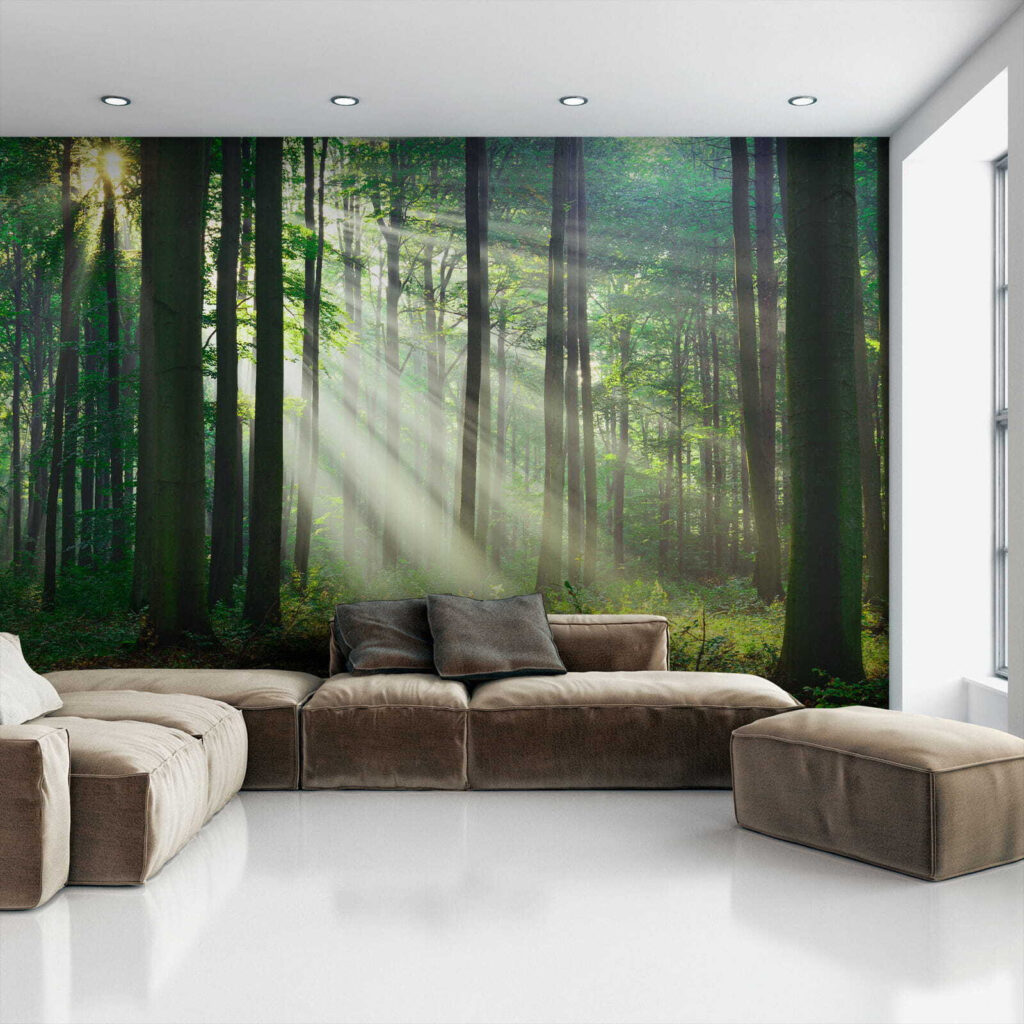 Light through straight trunks — interior 4