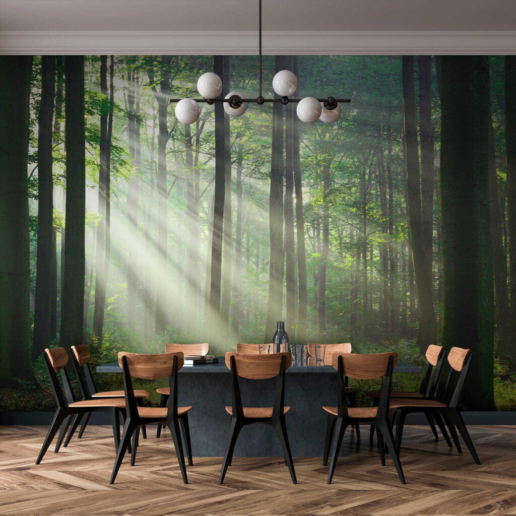 Light through straight trunks — interior 9