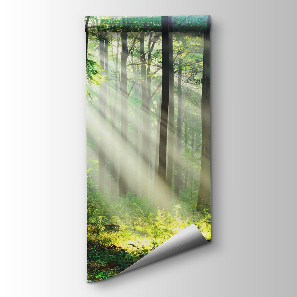 Light through straight trunks — product view