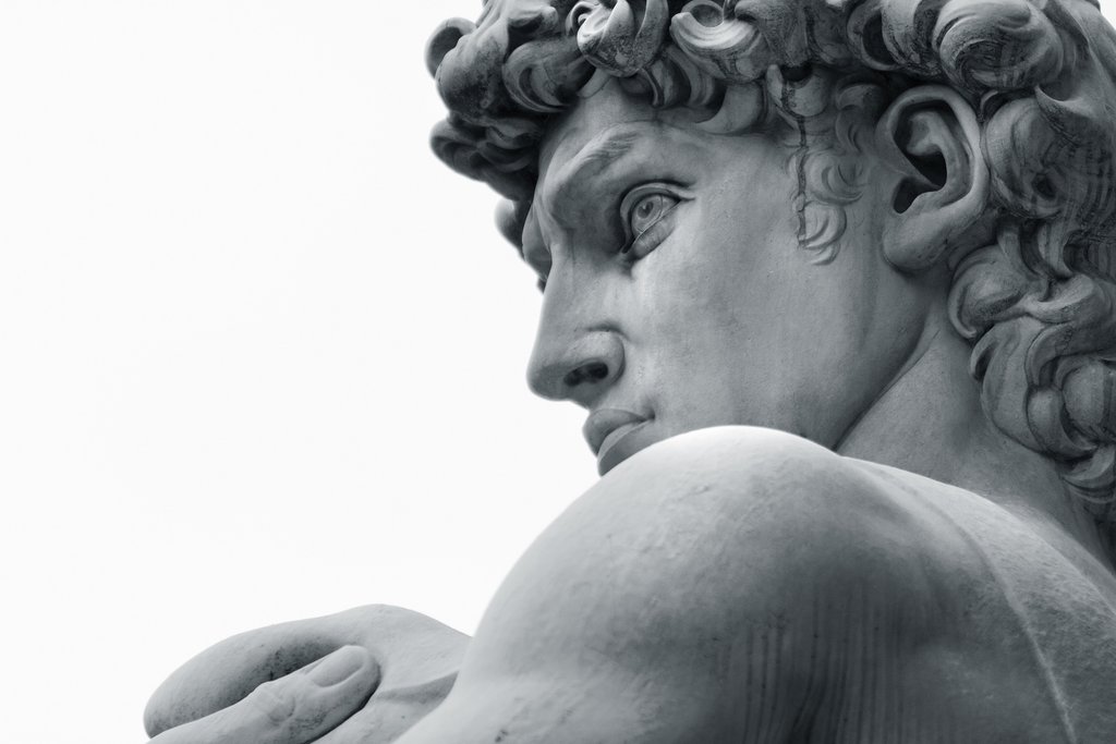 David in Profile — full design