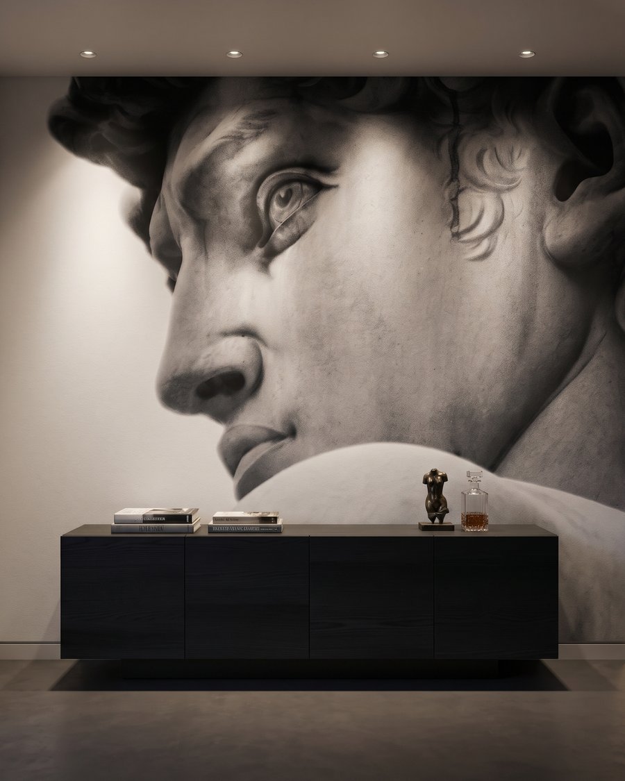 David in Profile — interior 7