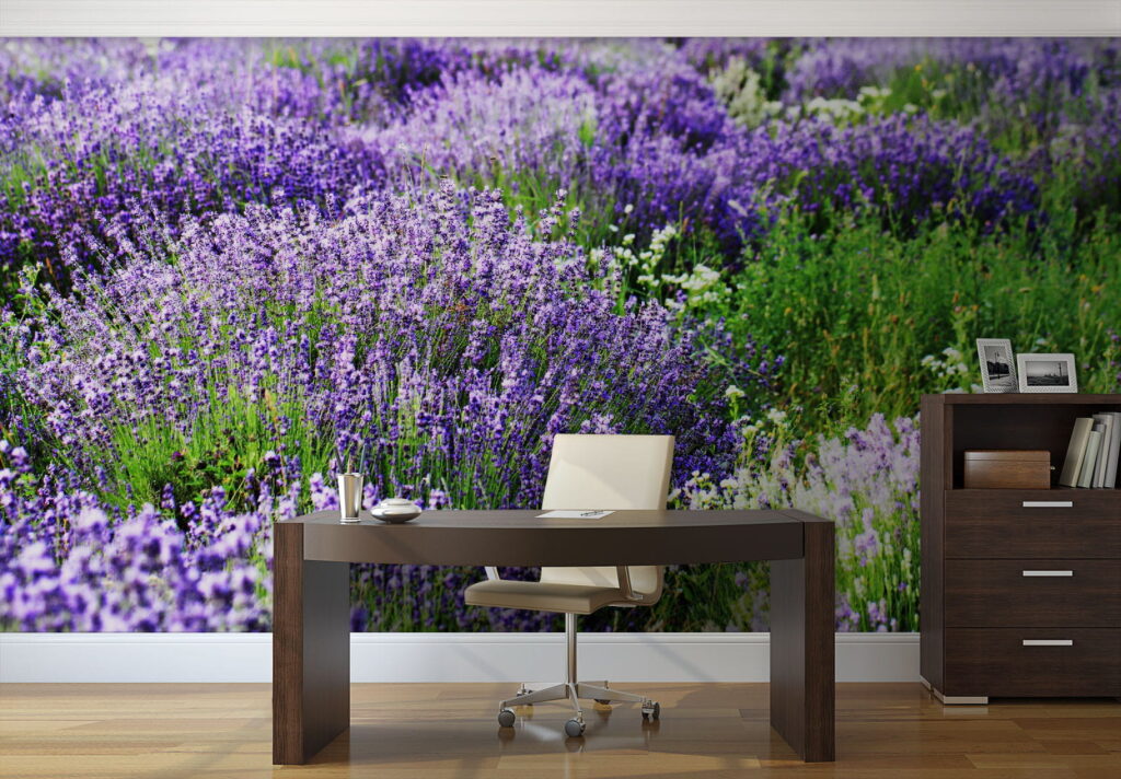 Lavender in wavy rows — interior 2