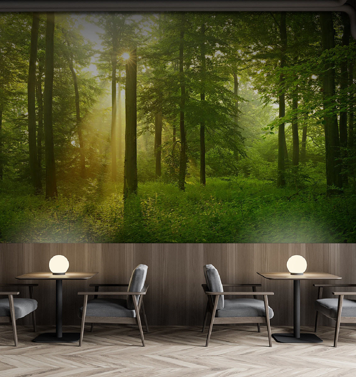 Golden forest light — interior 4