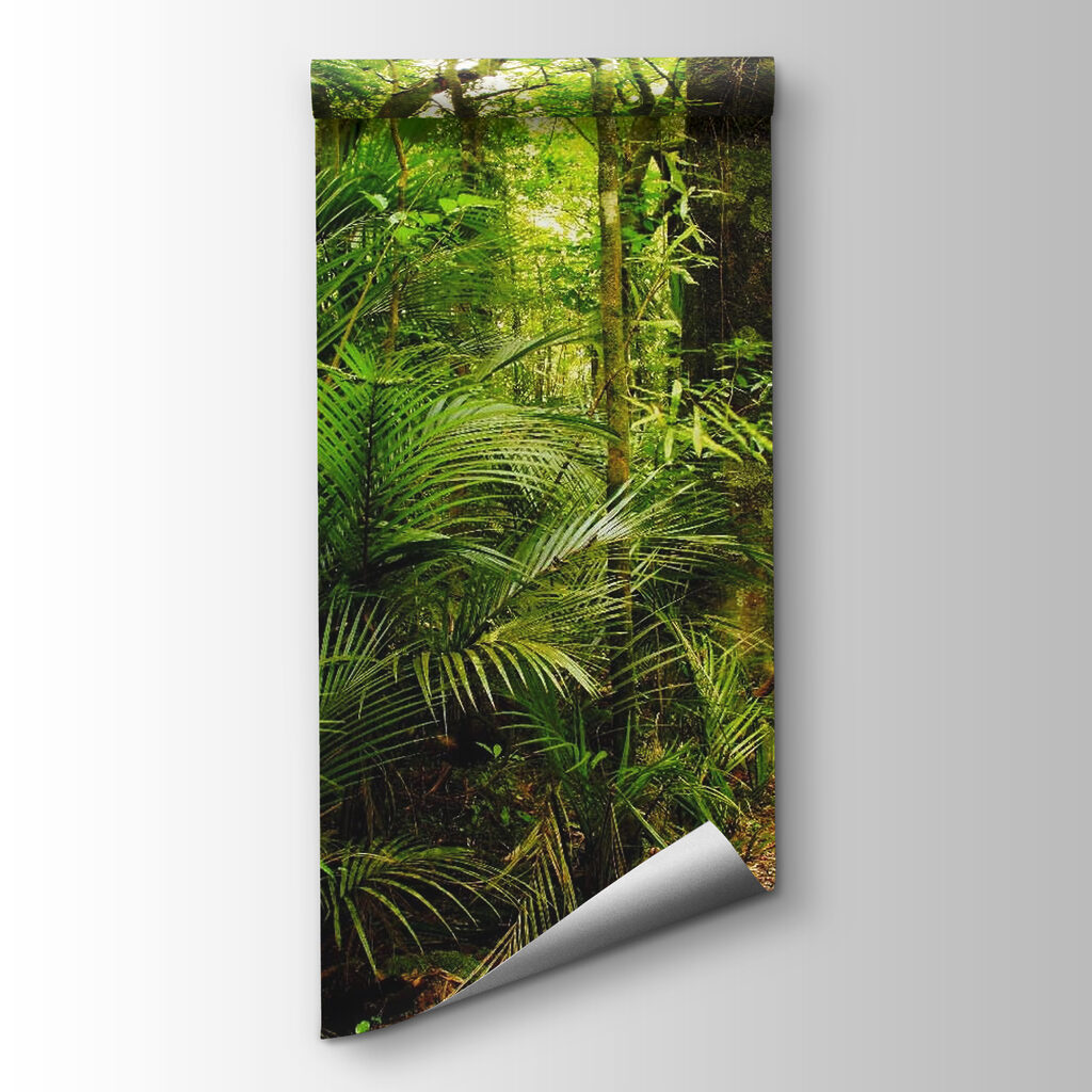 Jungle path by ferns — product view