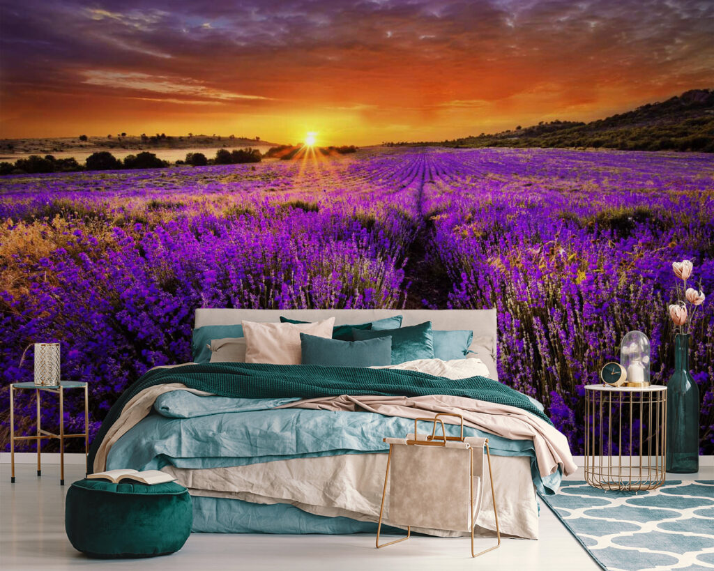 Lavender under orange sun — interior 3