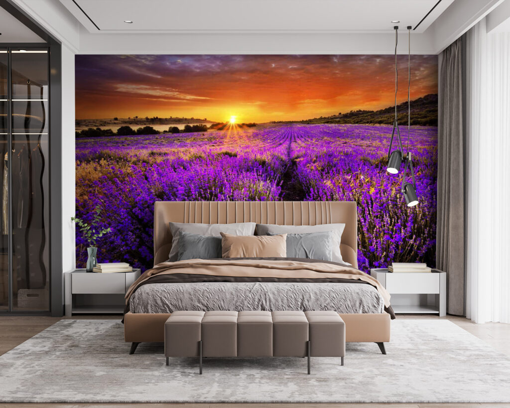 Lavender under orange sun — interior 4