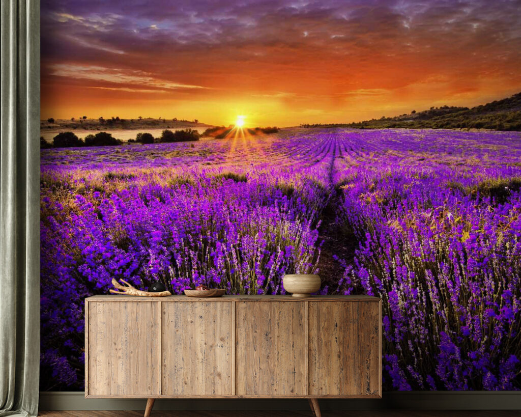 Lavender under orange sun — interior 1