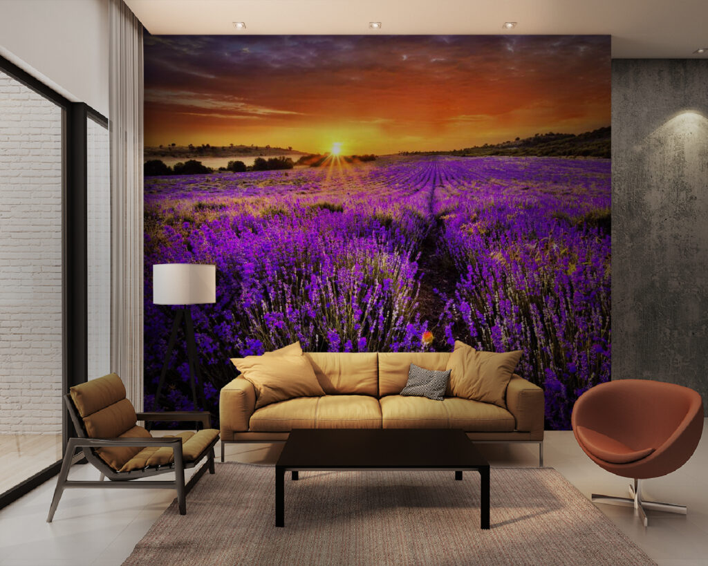 Lavender under orange sun — interior 5