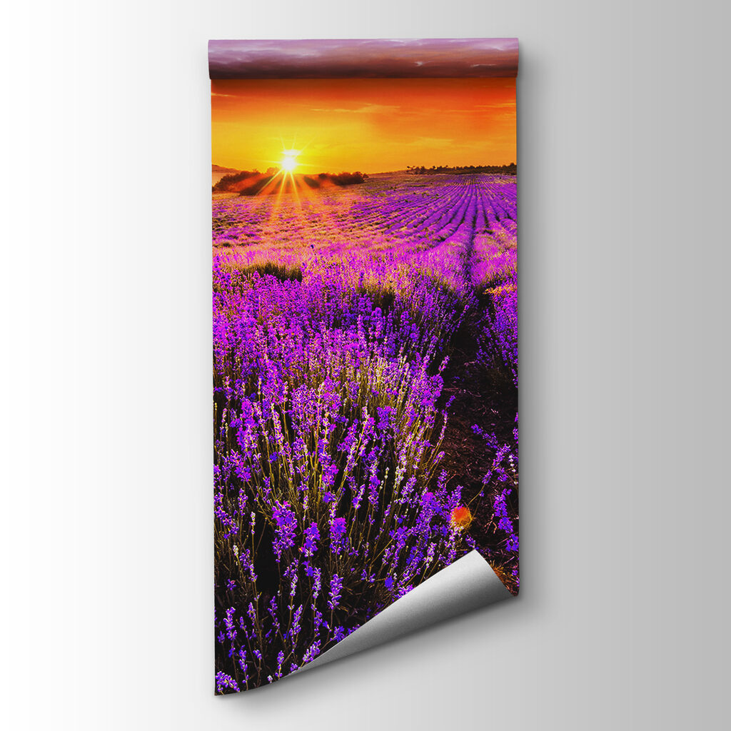 Lavender under orange sun — product view