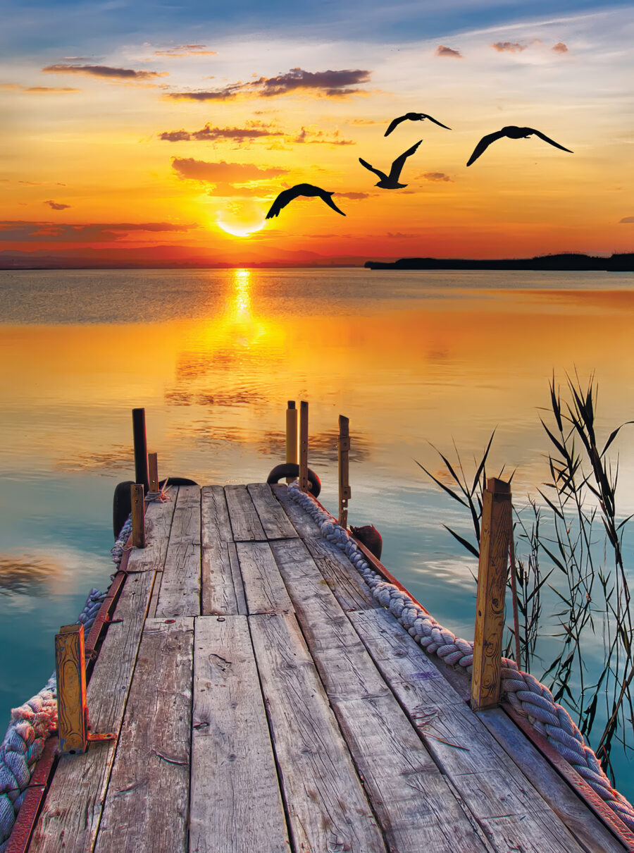 Gulls over a jetty — full design