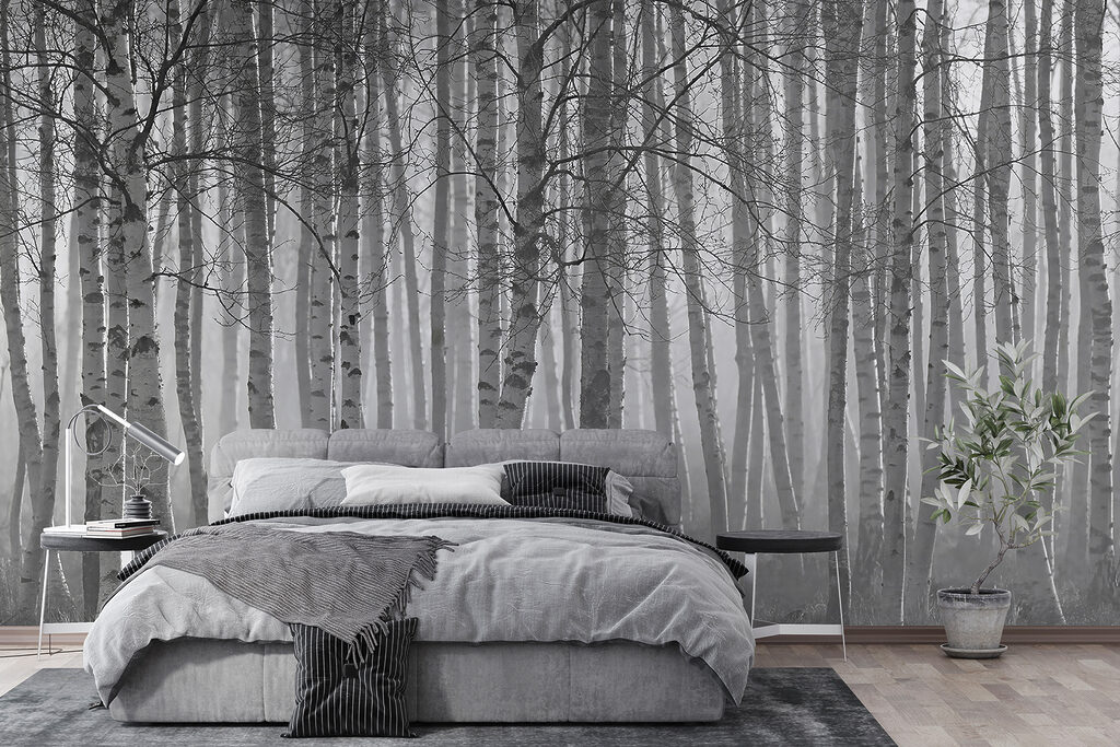 Birch forest in mist — interior 4