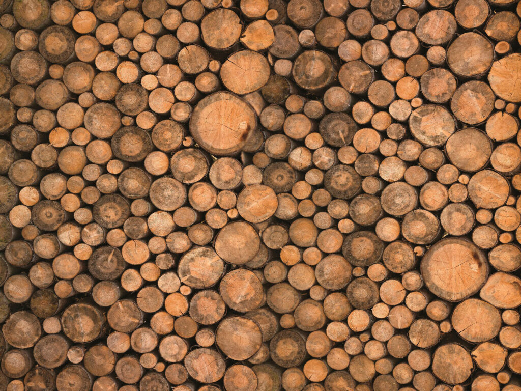 Round log slices — full design