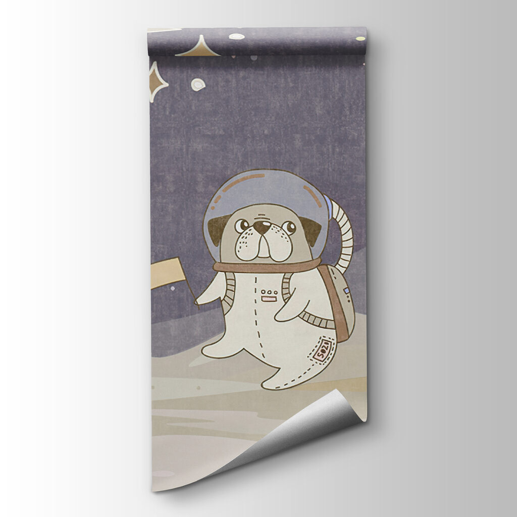 Little Space Dreamers — product view