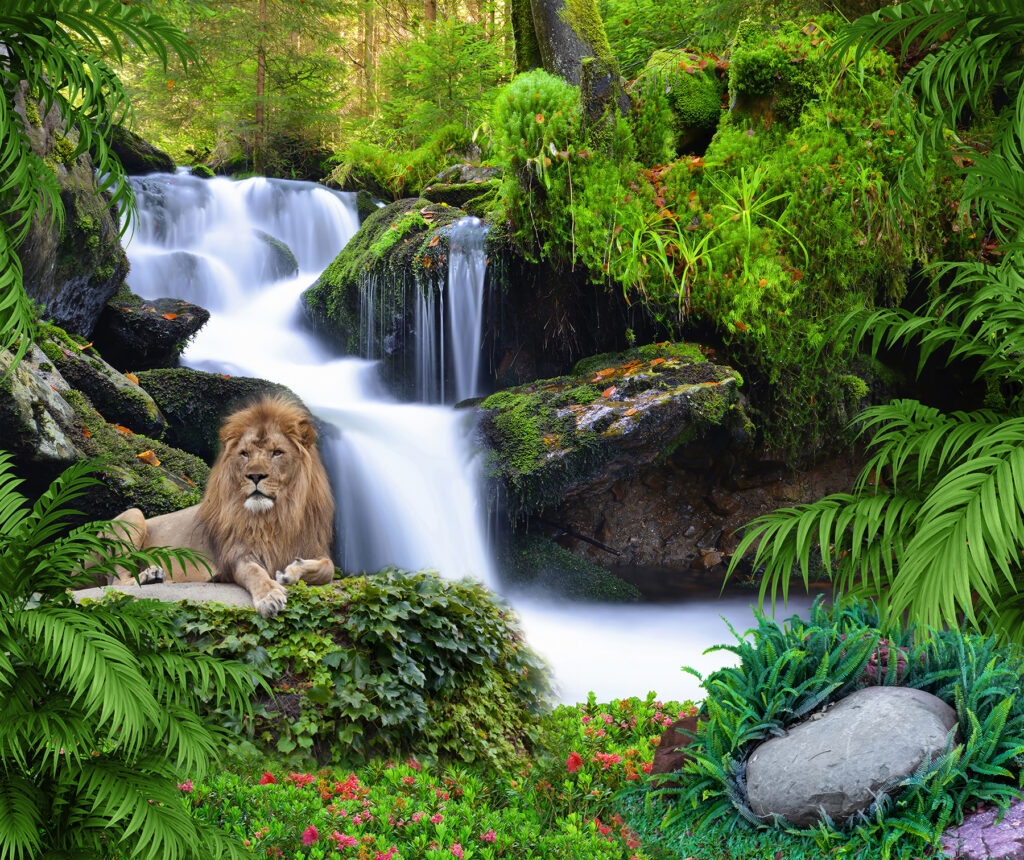 Lion by a waterfall — full design