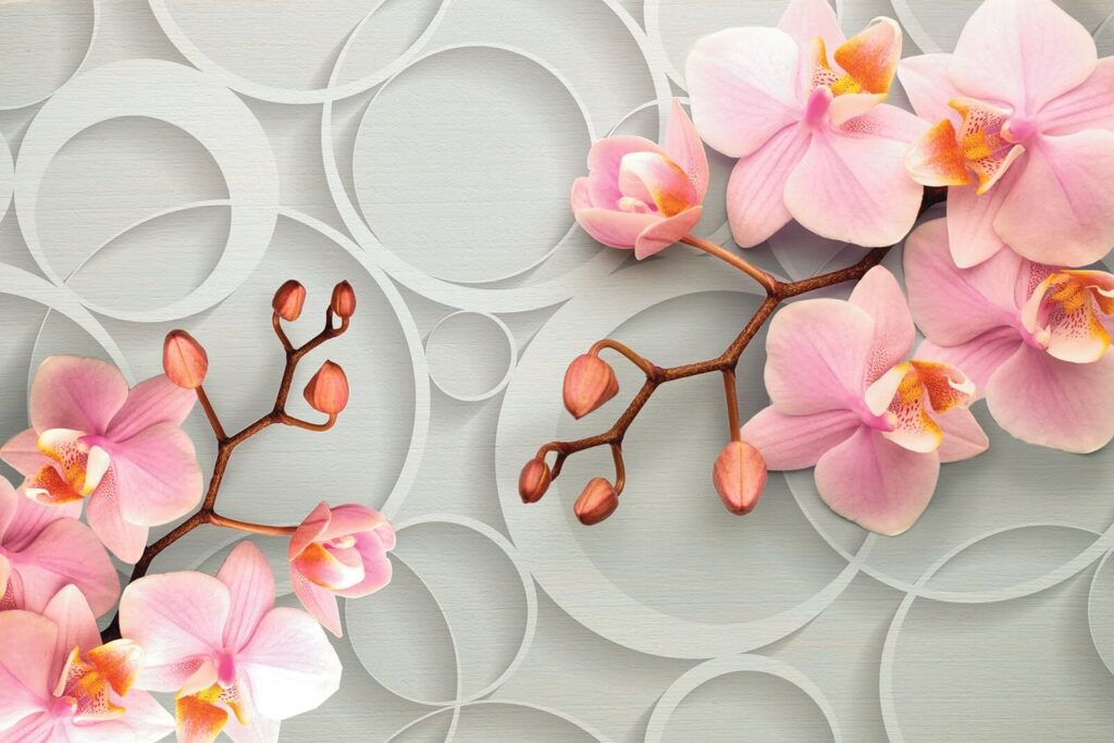Pink orchids and circles — full design