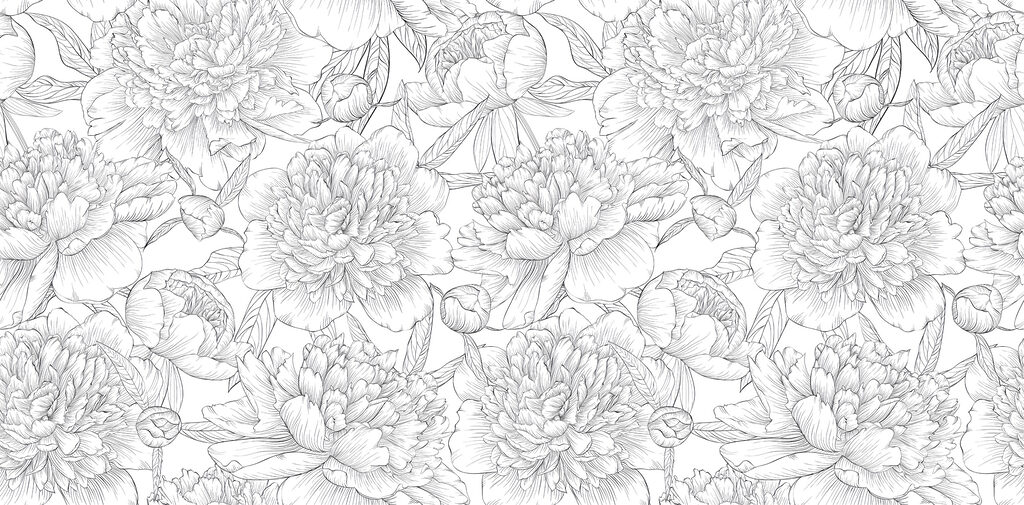 Peony outlines on white — full design