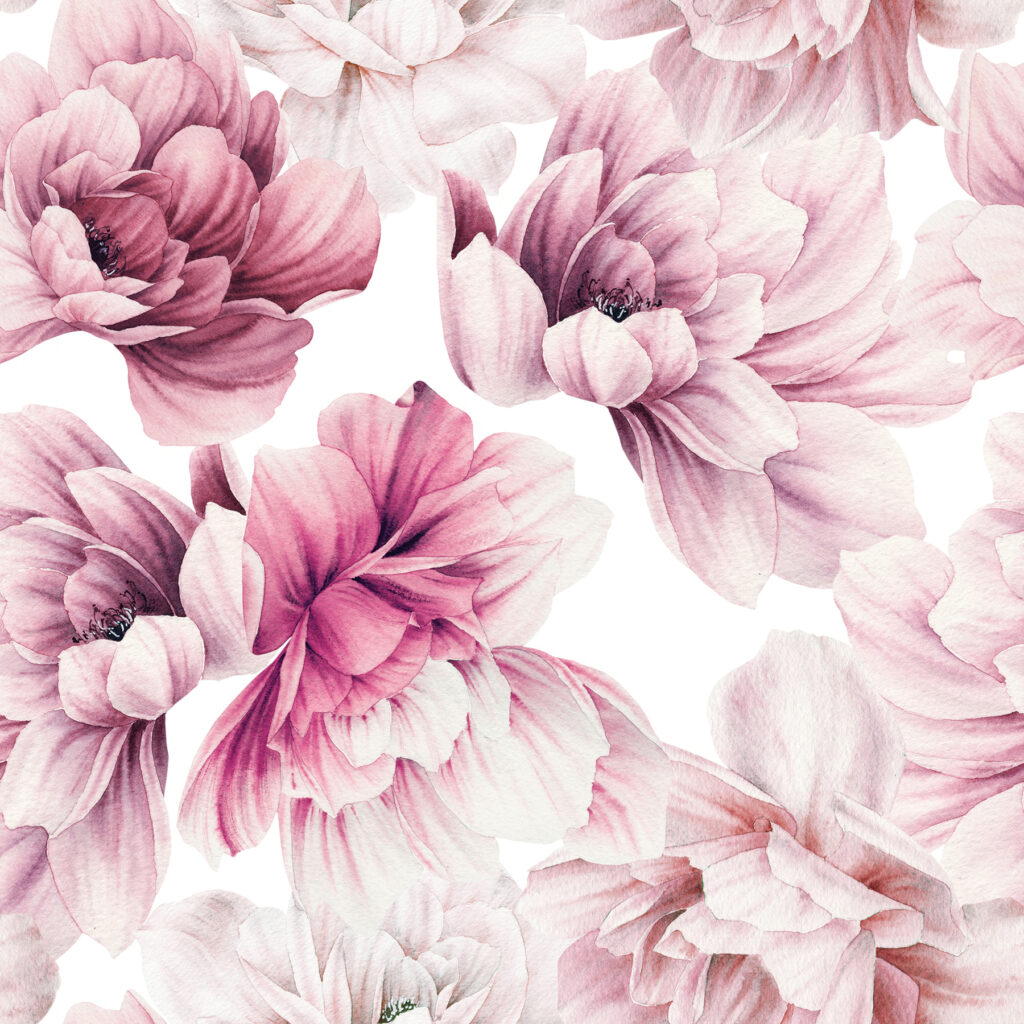 Pink dahlias on white — full design