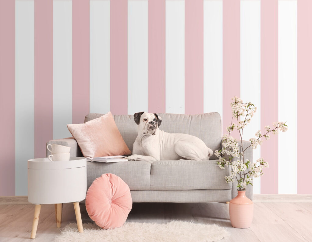 Candy Stripe in an interior
