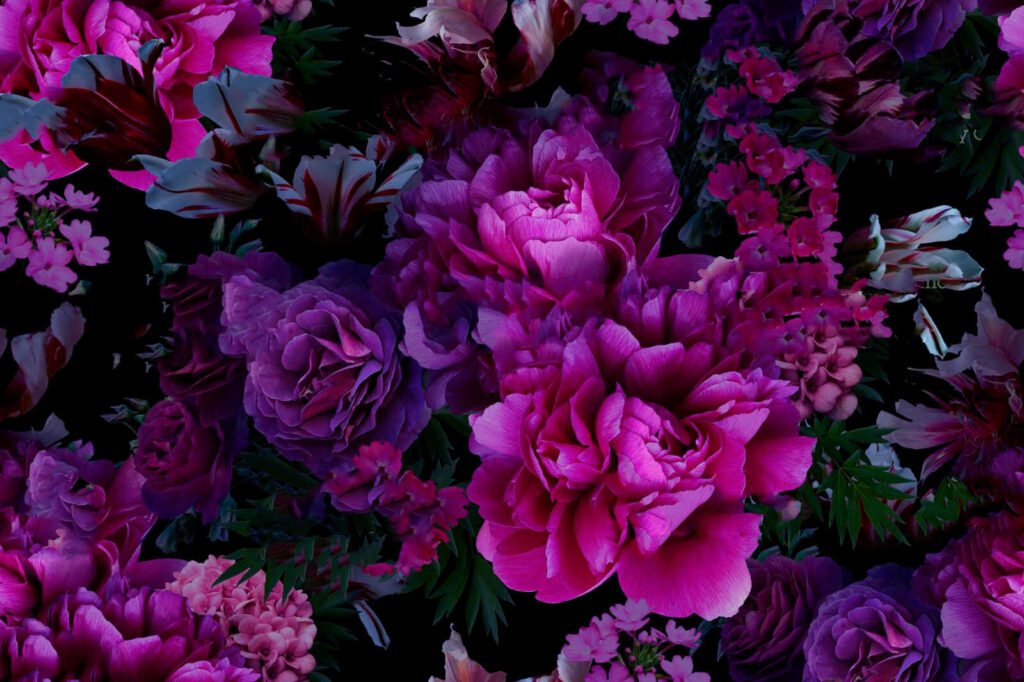 Purple flowers in shadow — full design