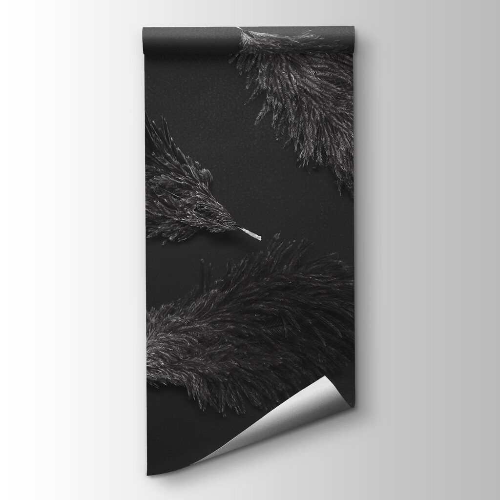 Dark feathers on black — product view