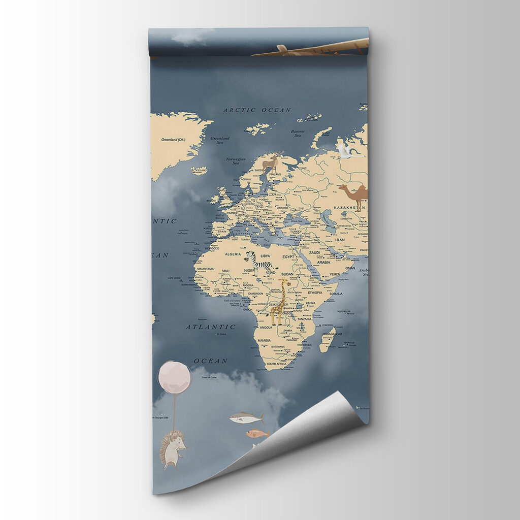 Air travel world map — product view
