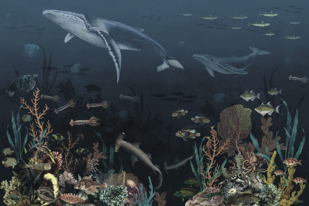 Whales above dark corals — full design