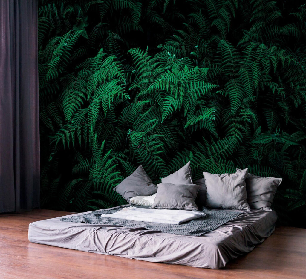 Green ferns in shade — interior 2