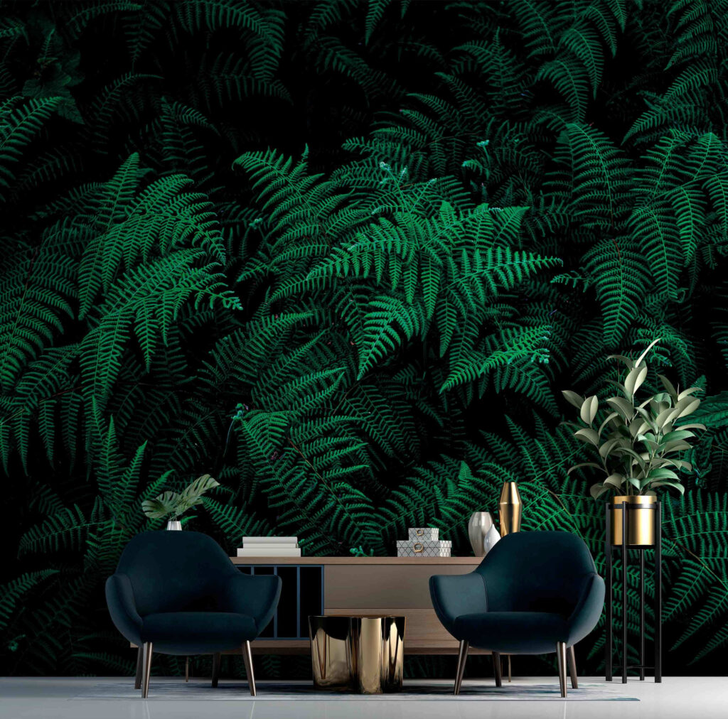 Green ferns in shade — interior 1