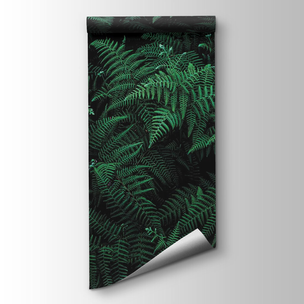 Green ferns in shade — product view