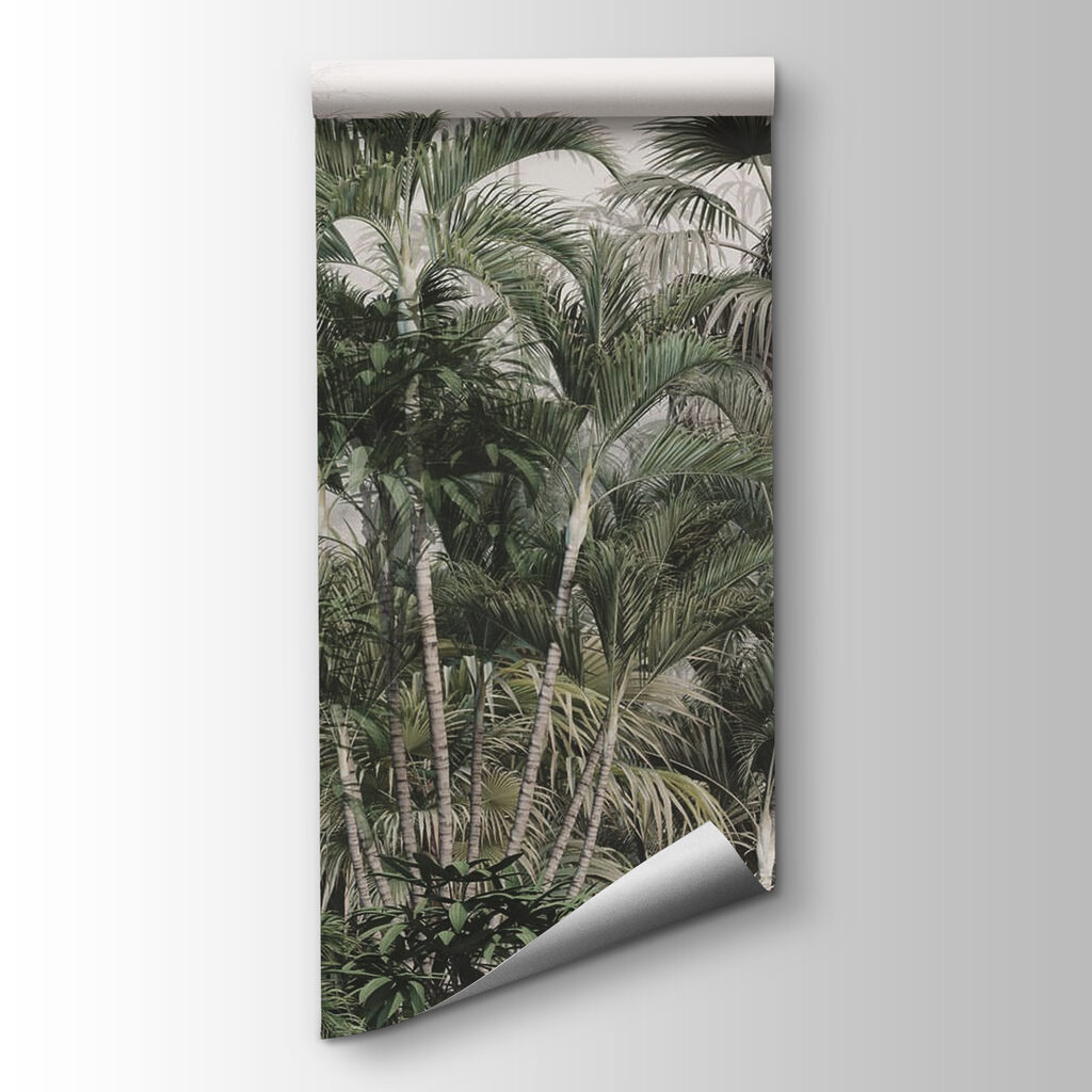 Palms above dense shrubs — product view