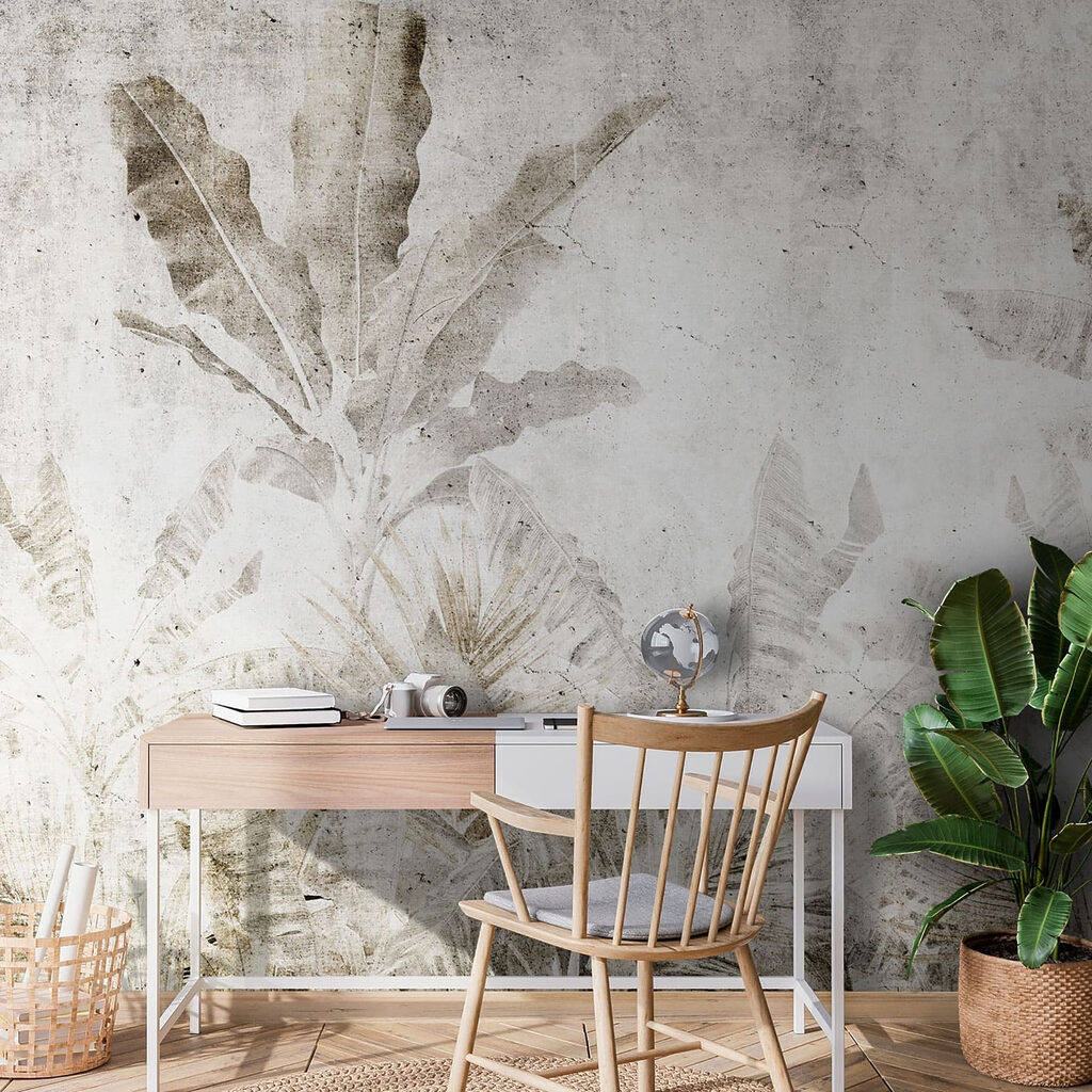 Ferns on weathered ground — interior 5