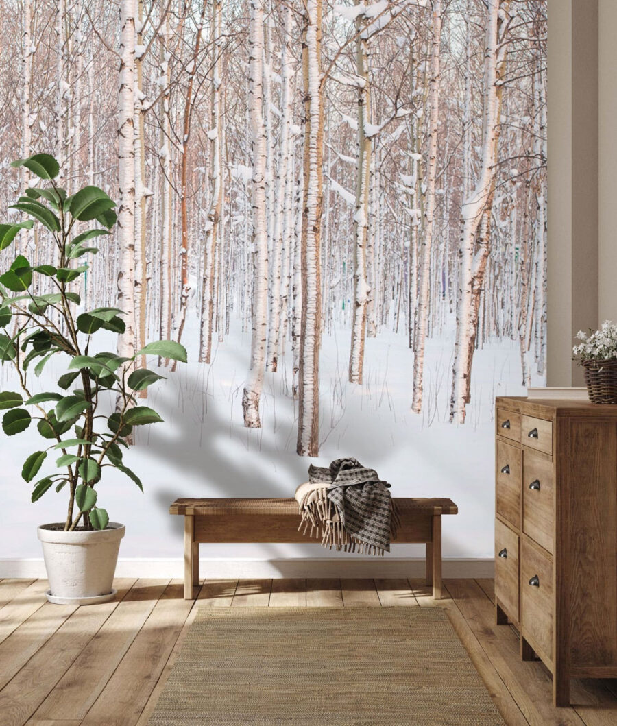 Birches in a snowfield — interior 2