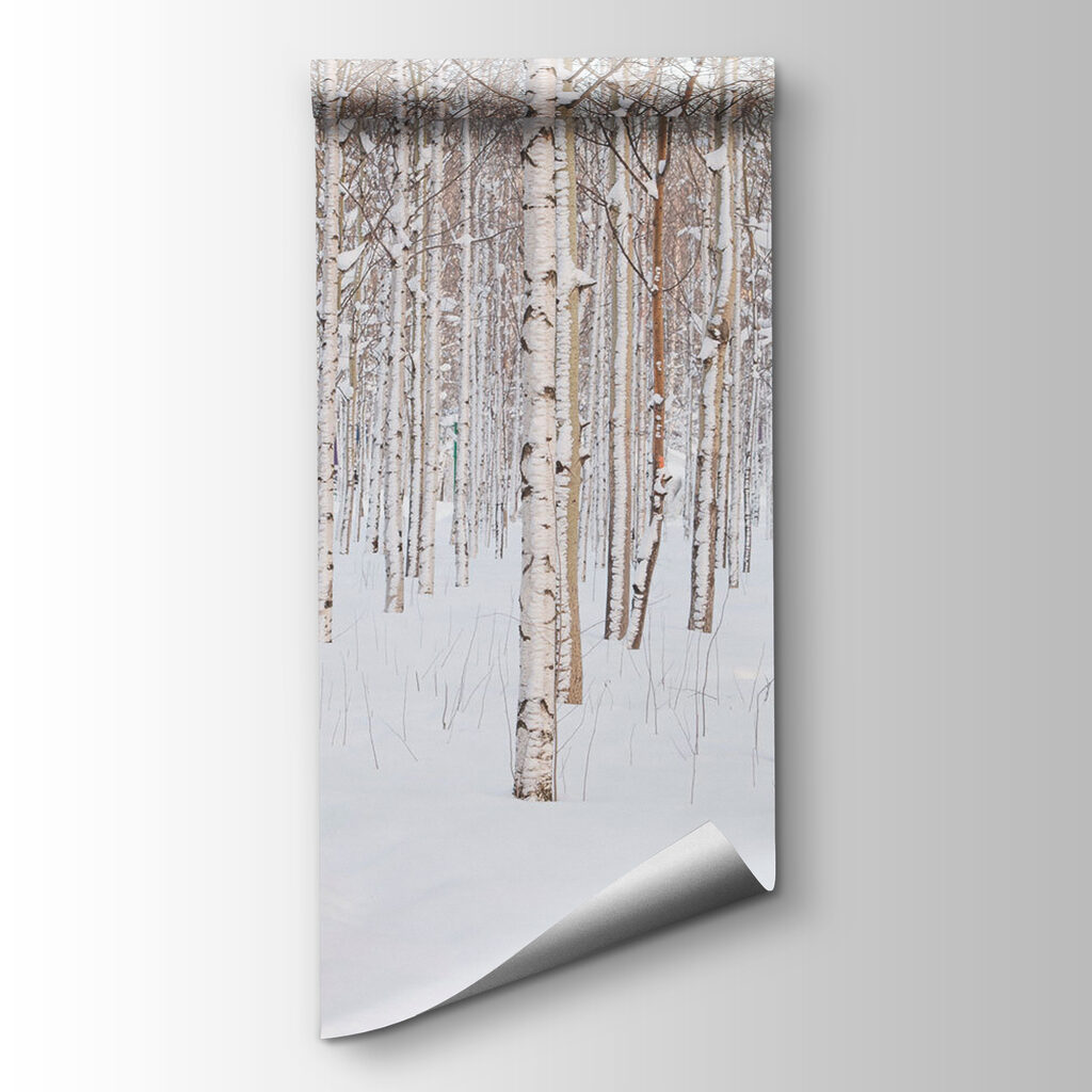 Birches in a snowfield — product view