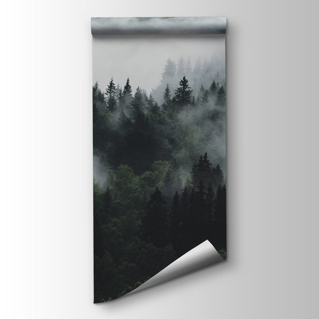 Forest Cloud — product view