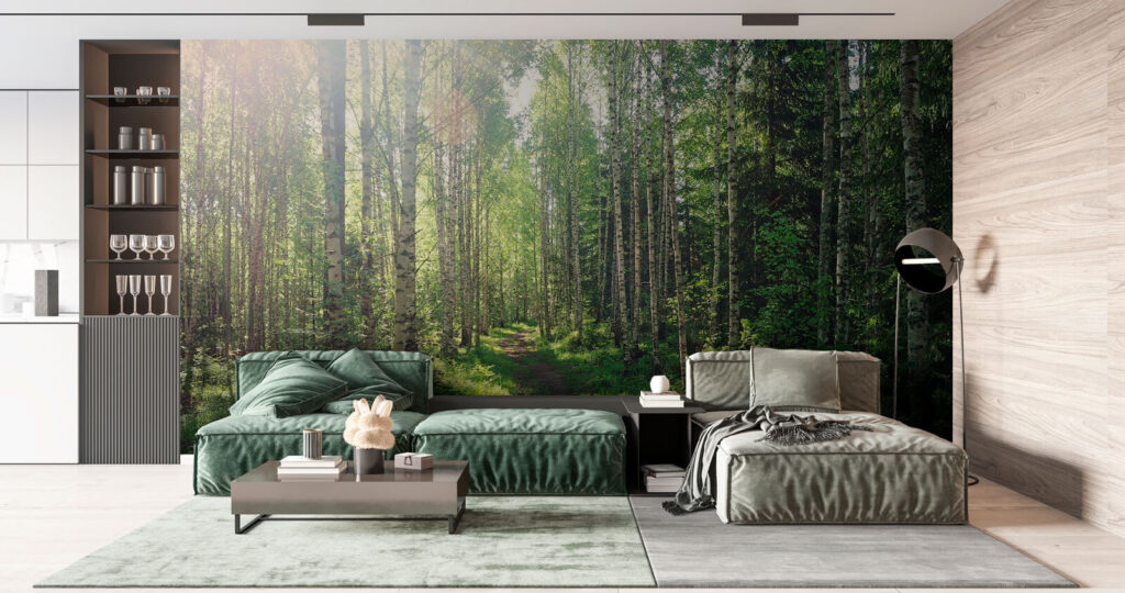 Sunlit green forest path — interior 3