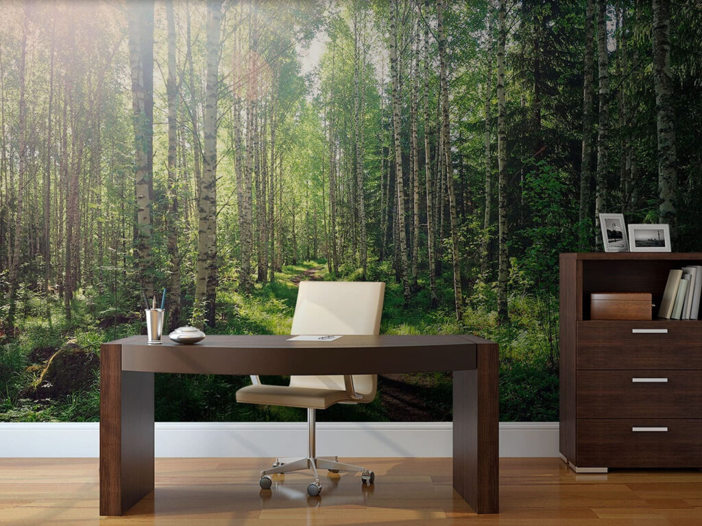 Sunlit green forest path — interior 1