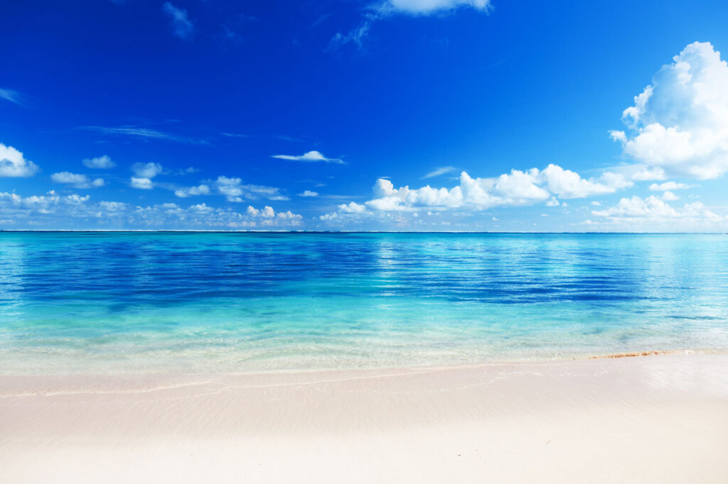 Clearwater Shore — full design