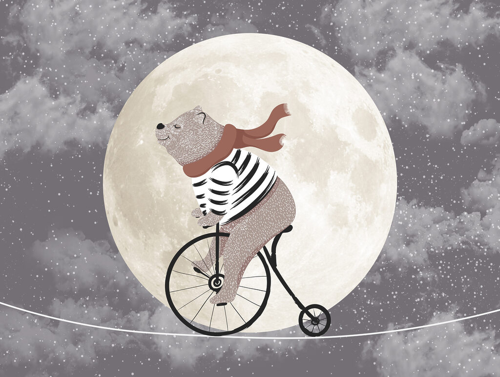 Bear cycles by moonlight — full design
