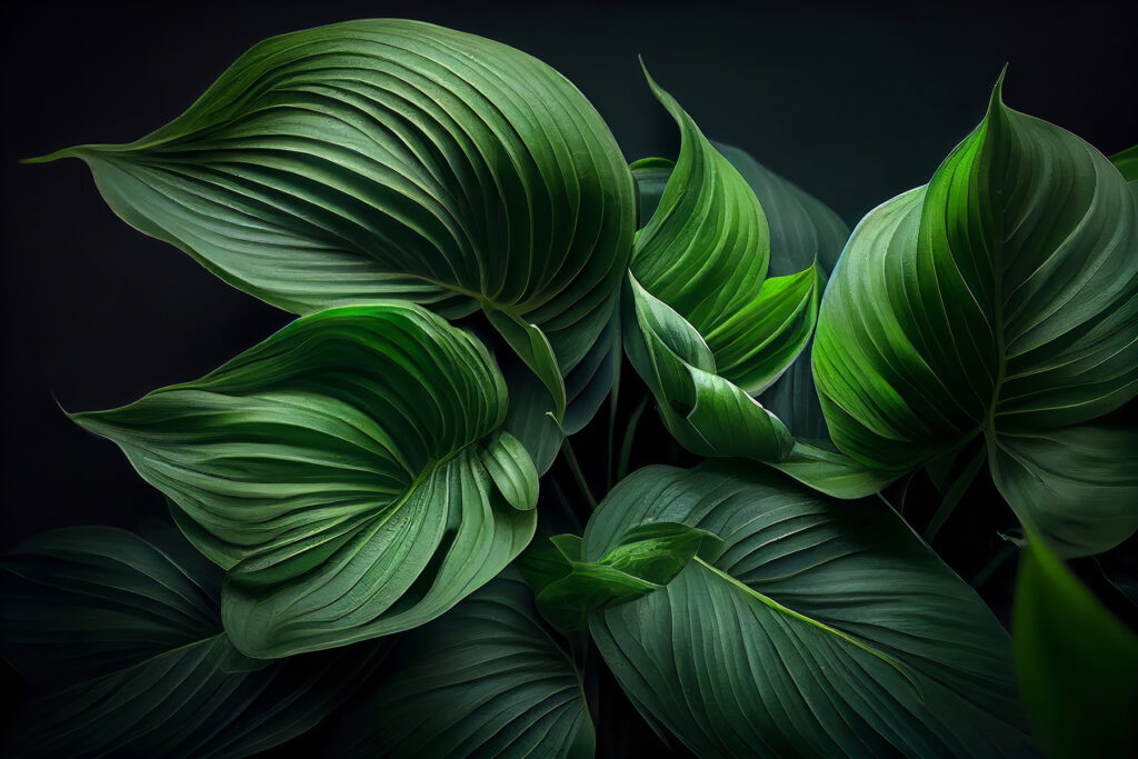 Shiny green leaf folds — full design