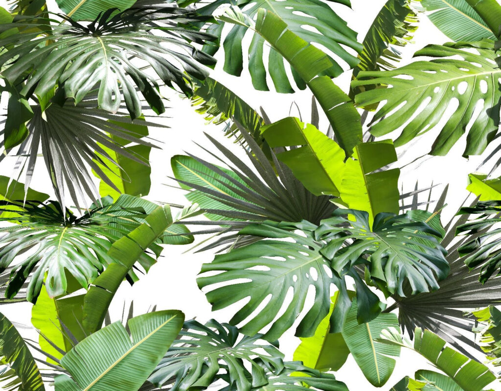 Jungle leaves catch light — full design