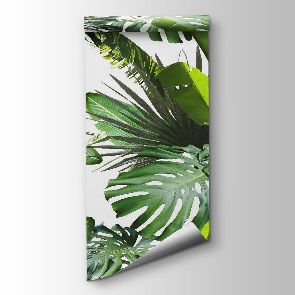Jungle leaves catch light — product view