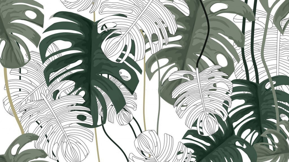 Monstera Line Play — full design