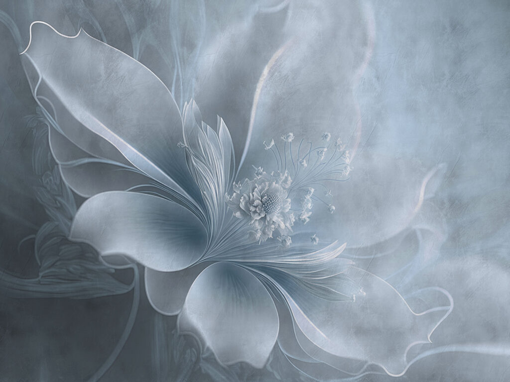 Flower in Soft Light — full design