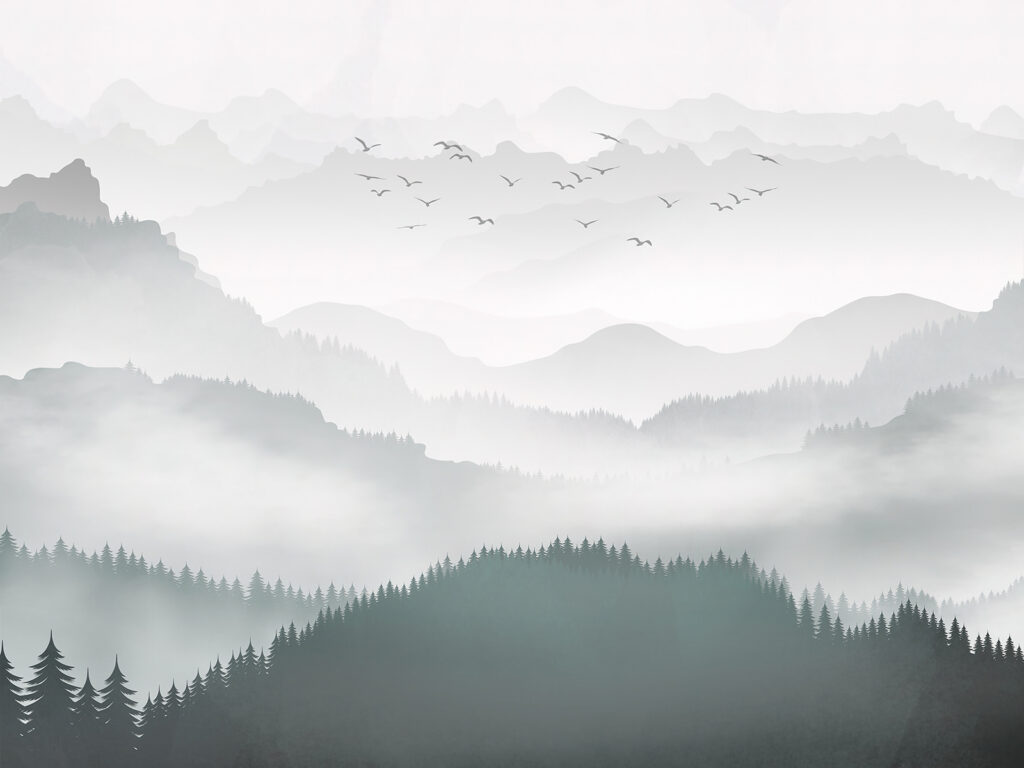 Birds above misty forest — full design