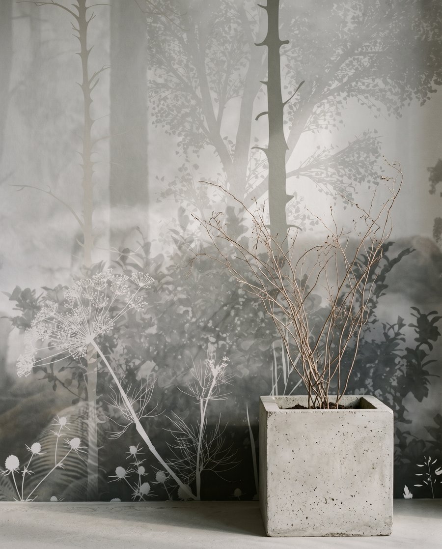 Forest Fading — interior 8