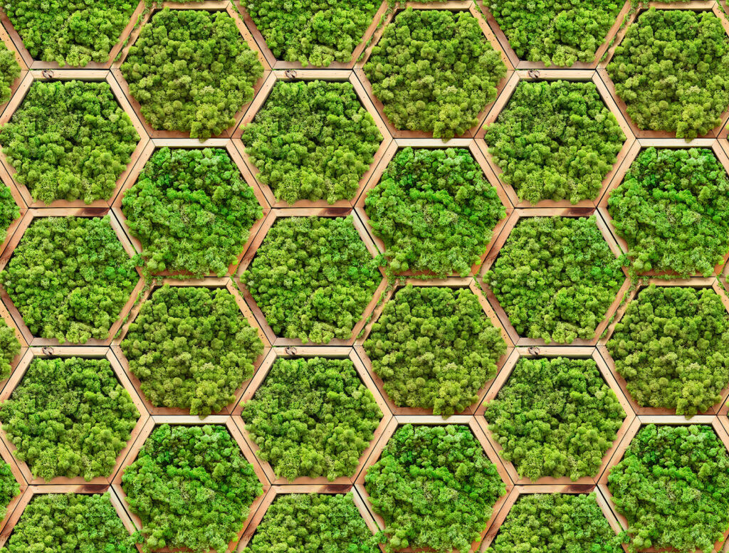 Living Honeycomb — full design