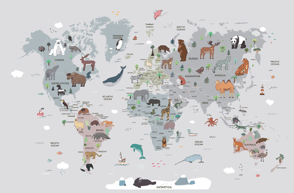 Animal Atlas — full design