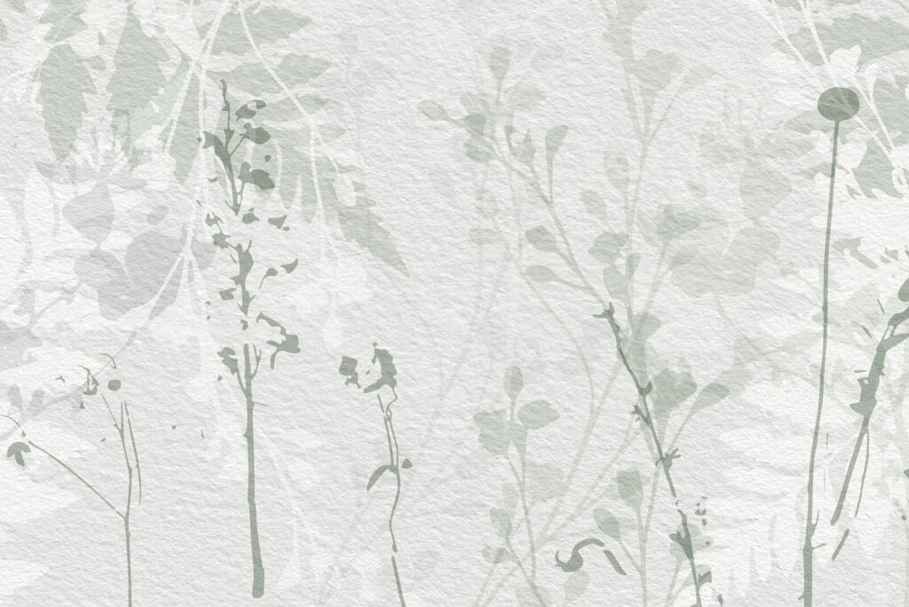 Botanical Silhouettes — full design