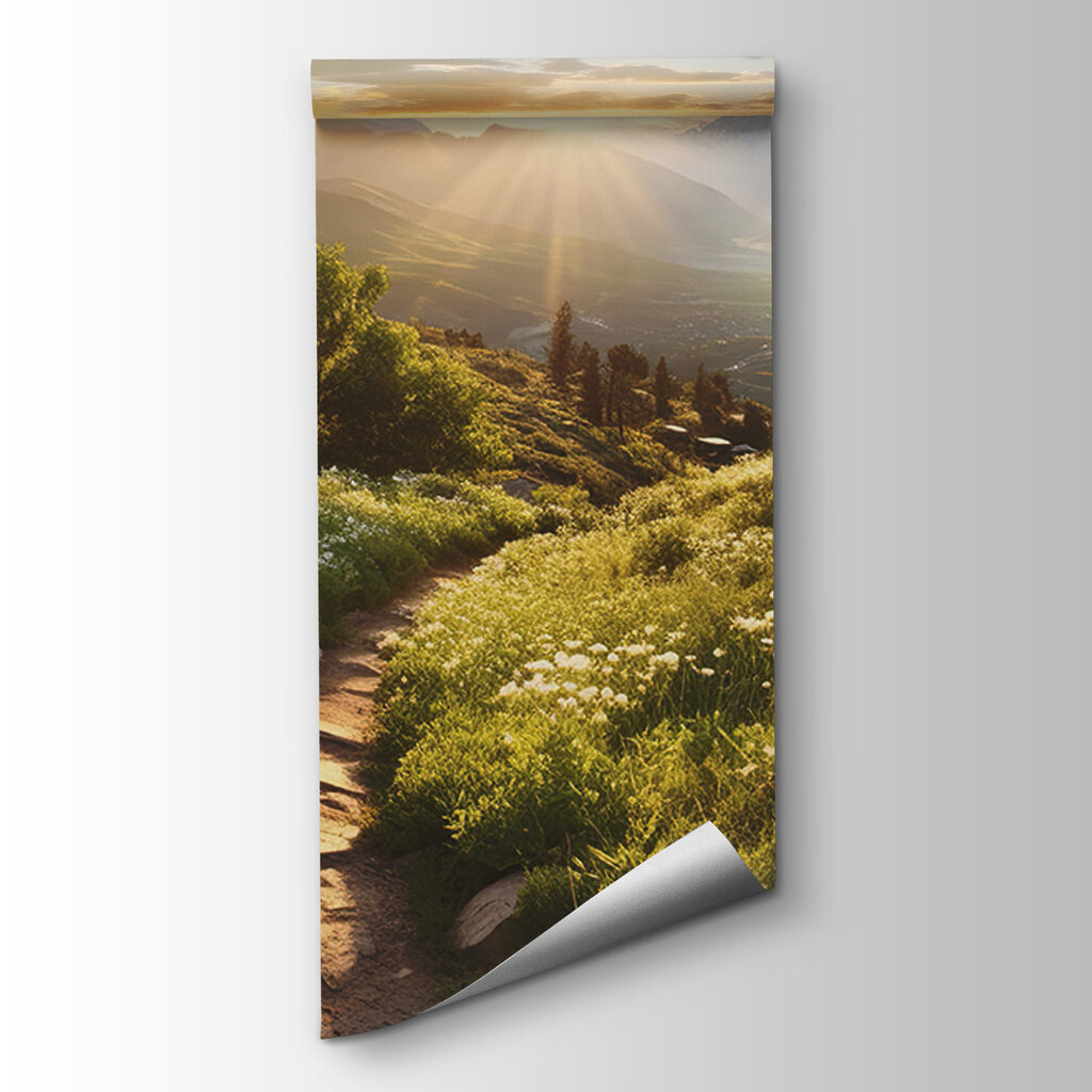 Narrow path through flowers — product view