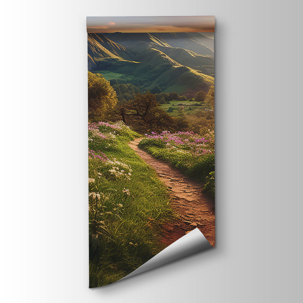 Mountain path by meadows — product view